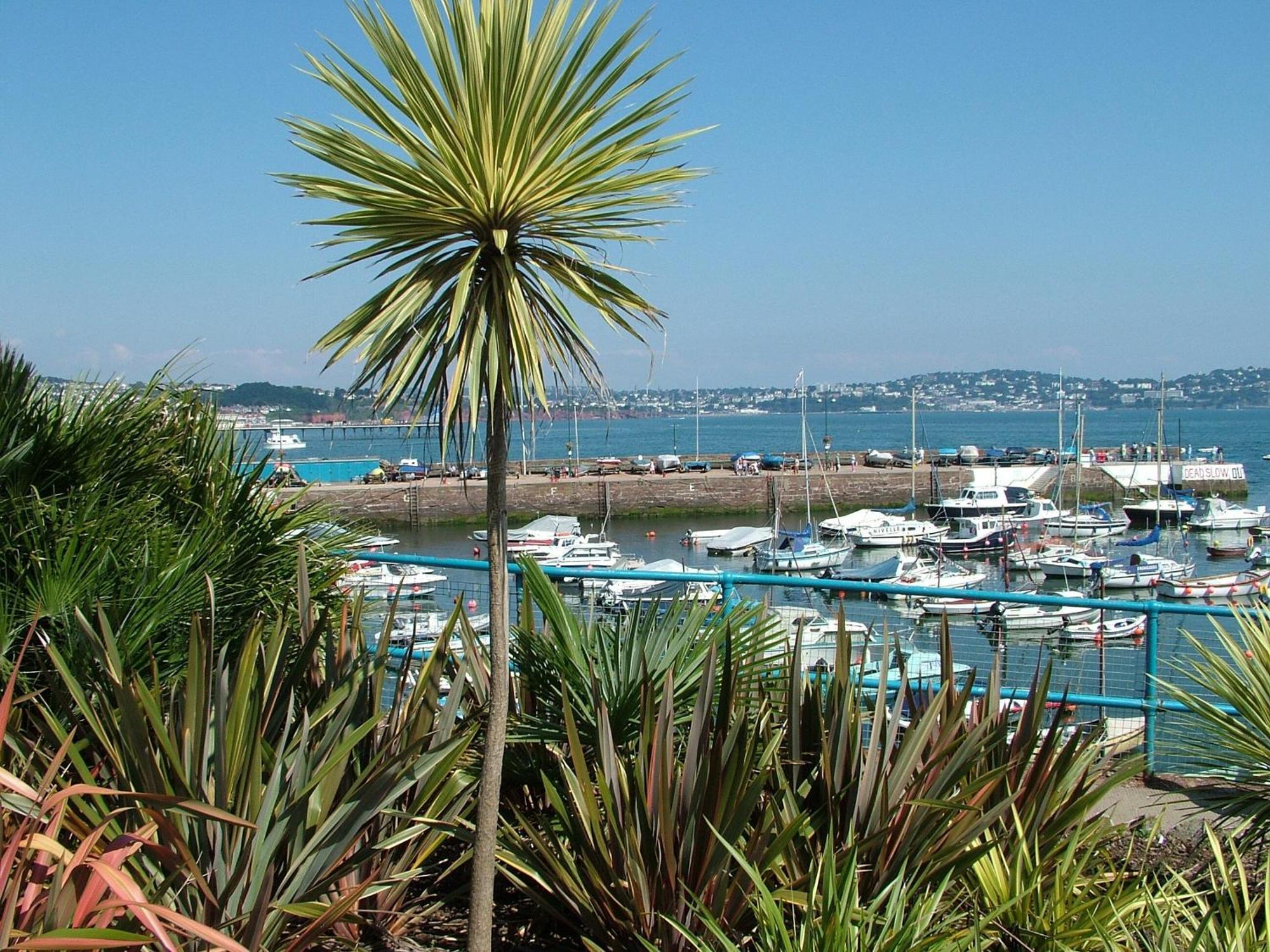 8 Belvedere Court Paignton Bagian luar foto
